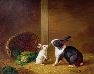 Deux lapins
